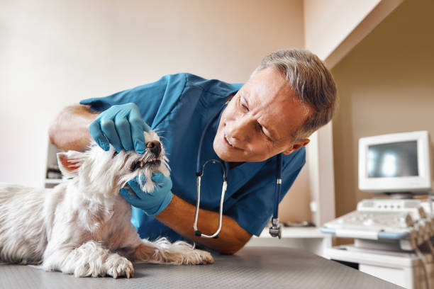 Best Dentist for Tooth Abscess  in Sylvester, GA